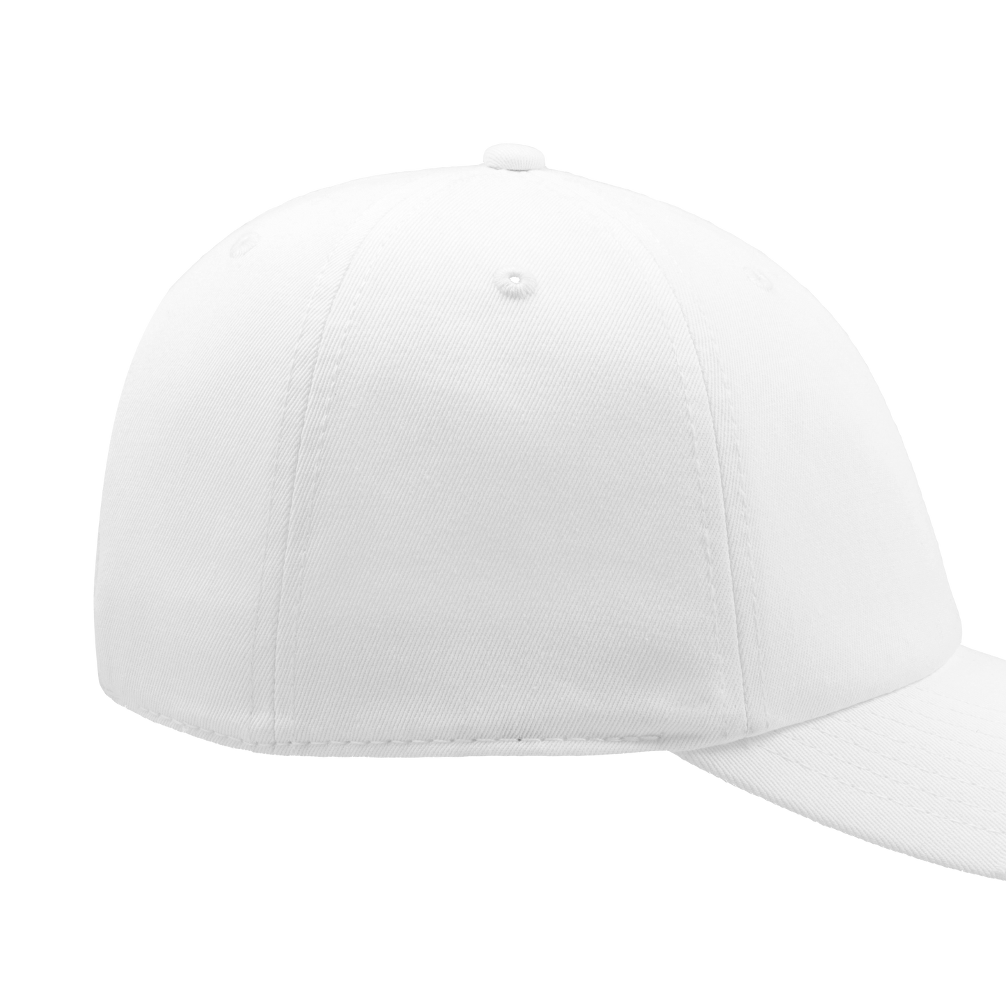Ottawa Citizen Dad Hat